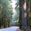 Highway 199 through Redwoods National & State Park